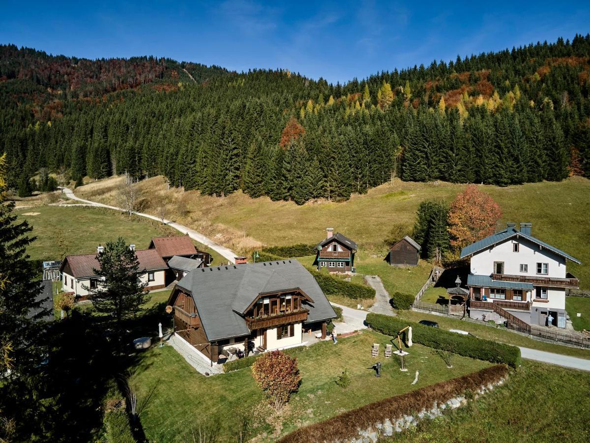Frein Chalets - Wildalm Frein an der Murz Exterior foto