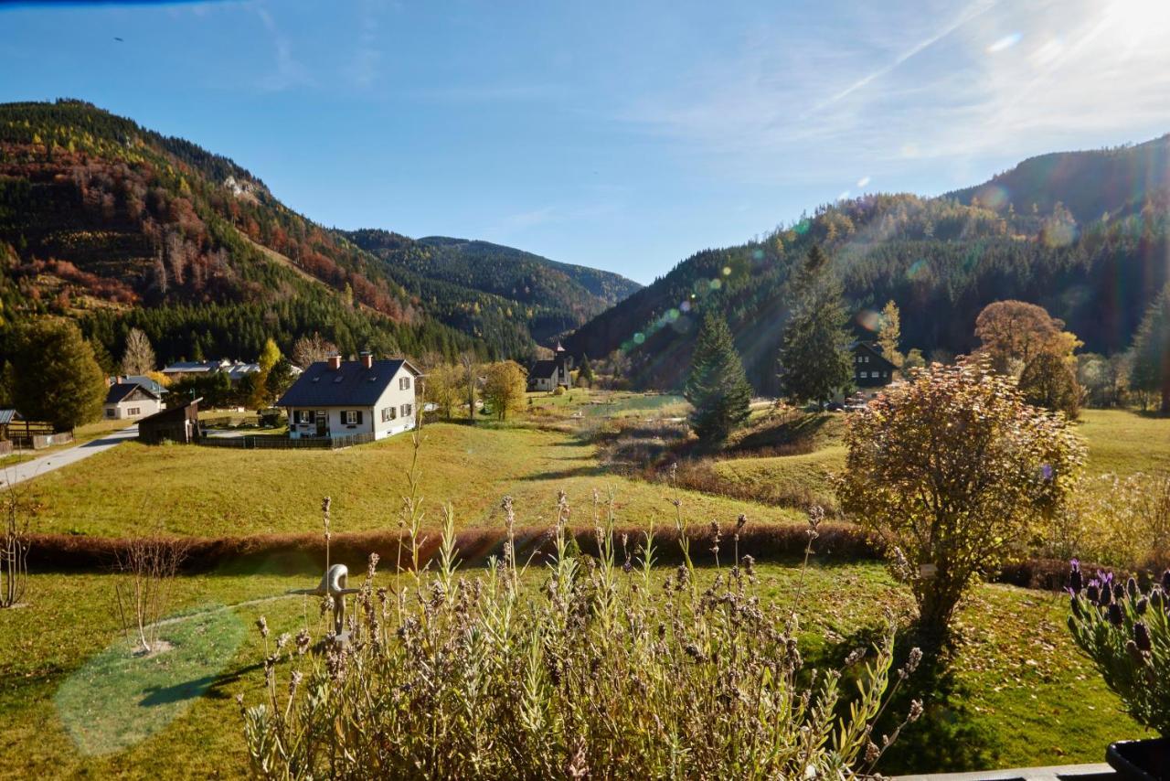 Frein Chalets - Wildalm Frein an der Murz Exterior foto