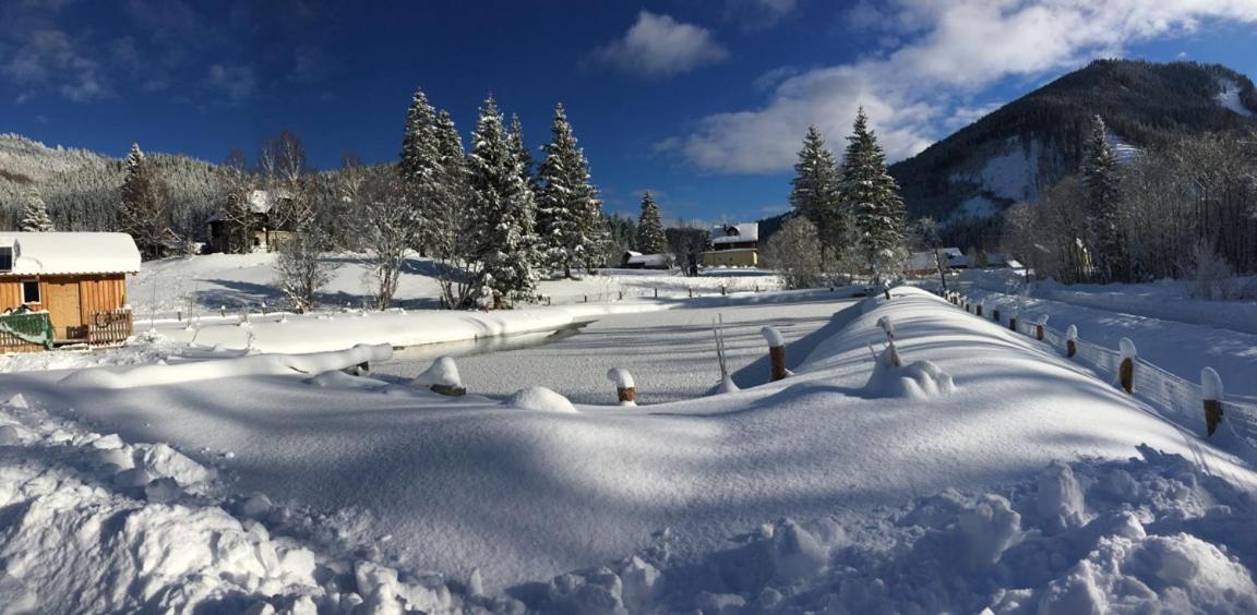 Frein Chalets - Wildalm Frein an der Murz Exterior foto